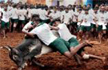 Jallikattu: VK Sasikala urges Modi to promulgate ordinance